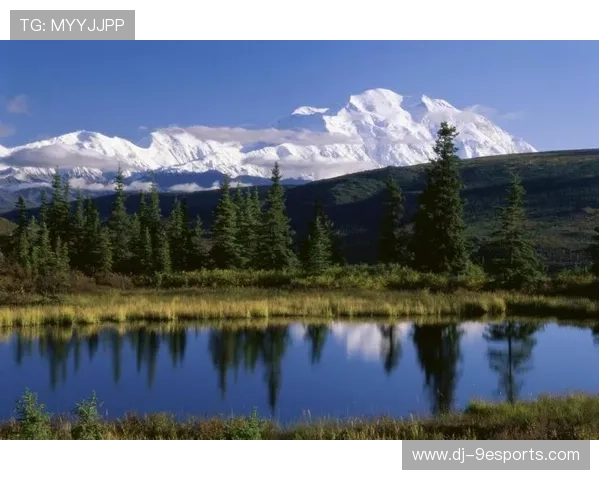“冰封战场：北极雪道上的速度传奇”，北极冰峰