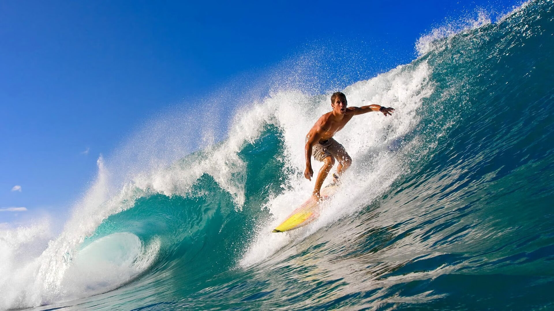 世界杯:多家自媒体被封号 原因是传播假消息与虚假新闻